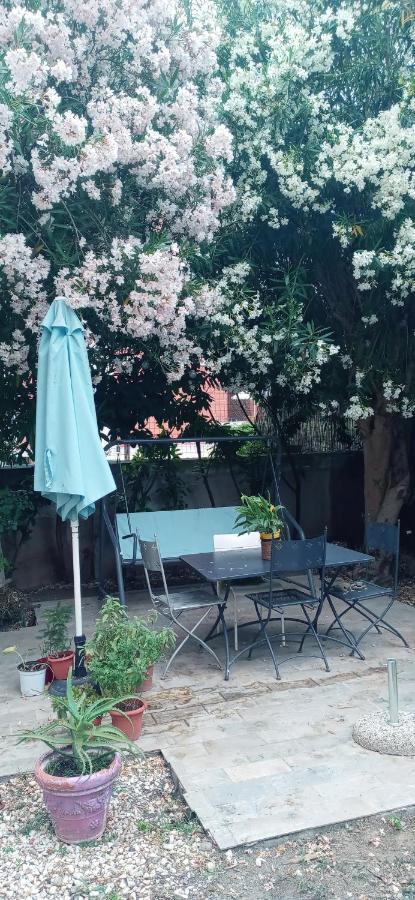 Gli Oleandri Villa Livorno Eksteriør bilde